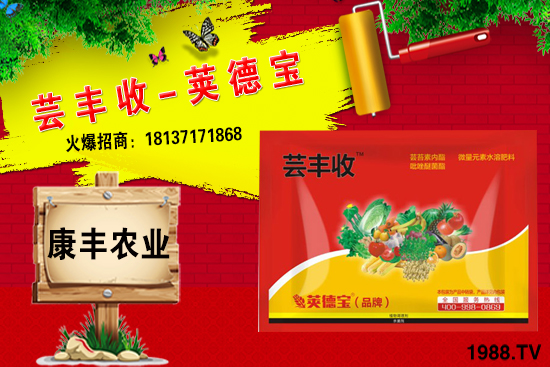 冬季要不要給小麥澆越冬水？小麥冬灌什么時候合適？