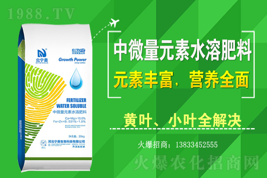 黃花菜該怎么種植？黃花菜種植過程需注意哪些問題？