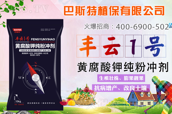 新品上市，定金翻倍！1000定金抵2000，超值優(yōu)惠，限時(shí)搶定...