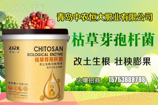 枯草芽孢桿菌真的是“菌中”嗎？枯草芽孢桿菌具體作用你了解嗎？