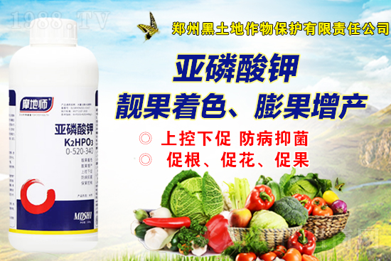 2021-10-12國內(nèi)磷銨價格市場行情分析