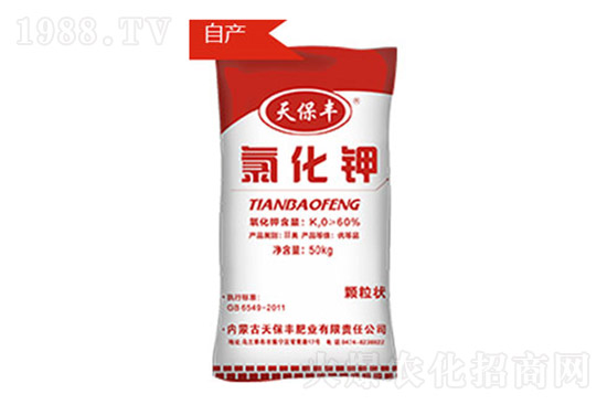 ⛷��߄�ƫ����⛷ʃr�����飨10��14�գ�