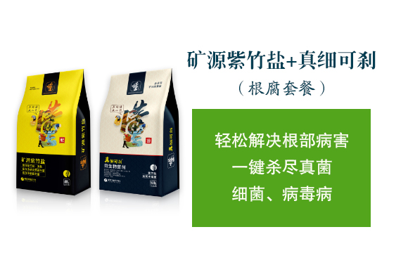 �������ý�-�漚(x��)�Ʉx_02