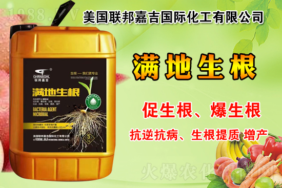 聯(lián)邦嘉吉怎么樣，聯(lián)邦嘉吉有哪些特色？公司暢銷(xiāo)產(chǎn)品有哪些？