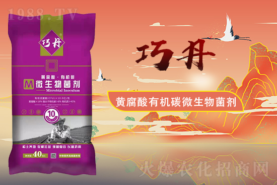 �����P(gu��n)ϵ�����A��ɽ�|�f��ȵ��m(x��)�s1988.TV��