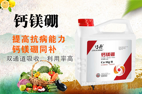 �����P(gu��n)ϵ�����A��ɽ�|�f��ȵ��m(x��)�s1988.TV��