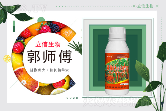 ���������m(x��)�s1988.TV���y�ֹ���(chu��ng)���x����