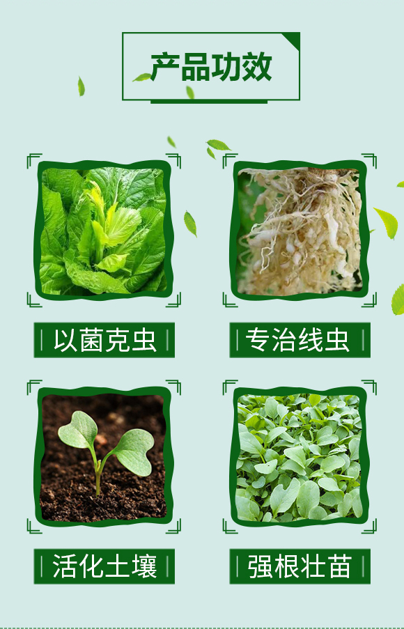 根線蟲一沖凈---天農(nóng)化工_03