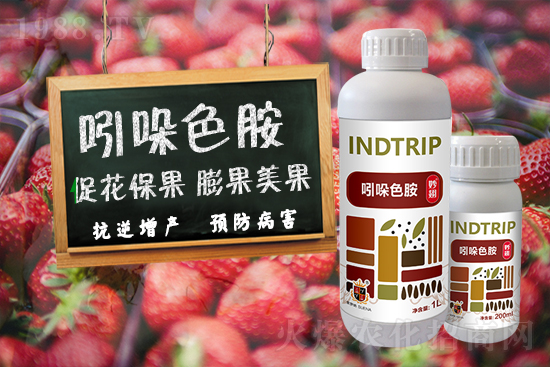 ���r(n��ng)���W(w��ng)ϲӭ���������������𱬁�(l��i)�u��