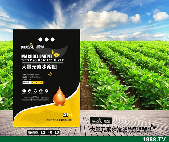 暫穩(wěn)運(yùn)行，2021.12.31今日磷酸二銨價(jià)格