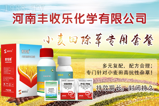 С�������ӳ��ݸ���ԓ��ô�x�ó��݄���