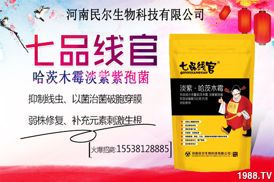 雪桃苗價格多少錢一株？雪桃種植前景怎樣？