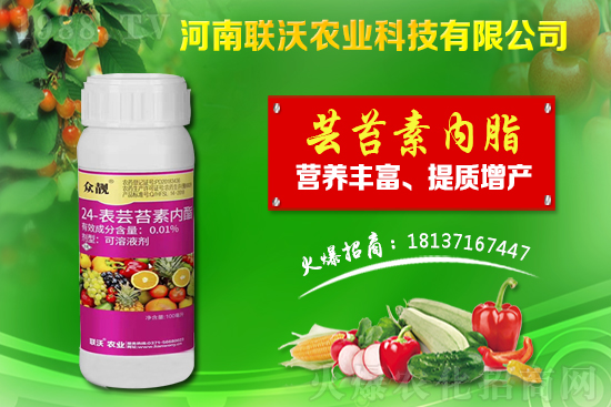 百部適合什么地方種植？百部種植前景及種植技術(shù)！