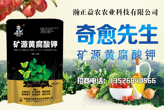 水稻價格還將上漲！上行空間有多大？附:當(dāng)前水稻價格