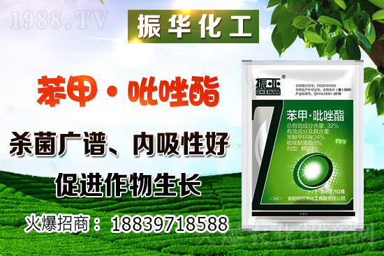 柴胡該怎么種植？柴胡種植方法及環(huán)境要求！