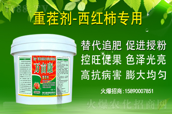 為什么果樹(shù)促梢建議用硝酸銨鈣，不建議用尿素？