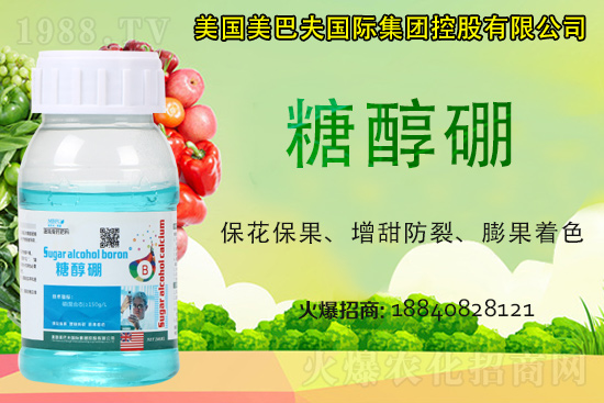 今日稻谷多少錢一斤？2021年稻谷價格是否還會漲？