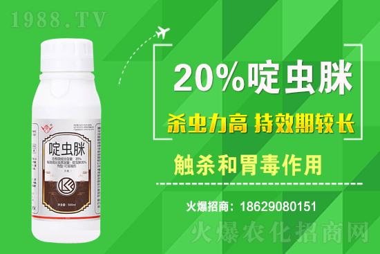 2021年3月15日全國小麥價格及分析