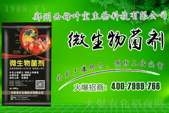 �����m��¶��������߲�Ʒ�N����Щ������Щ�Nֲע�����(xi��ng)��