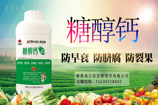 2021年3月19日主產(chǎn)區(qū)今日小麥價(jià)格