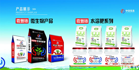 “菜無味、瓜不甜、果不香”是化肥惹的禍？