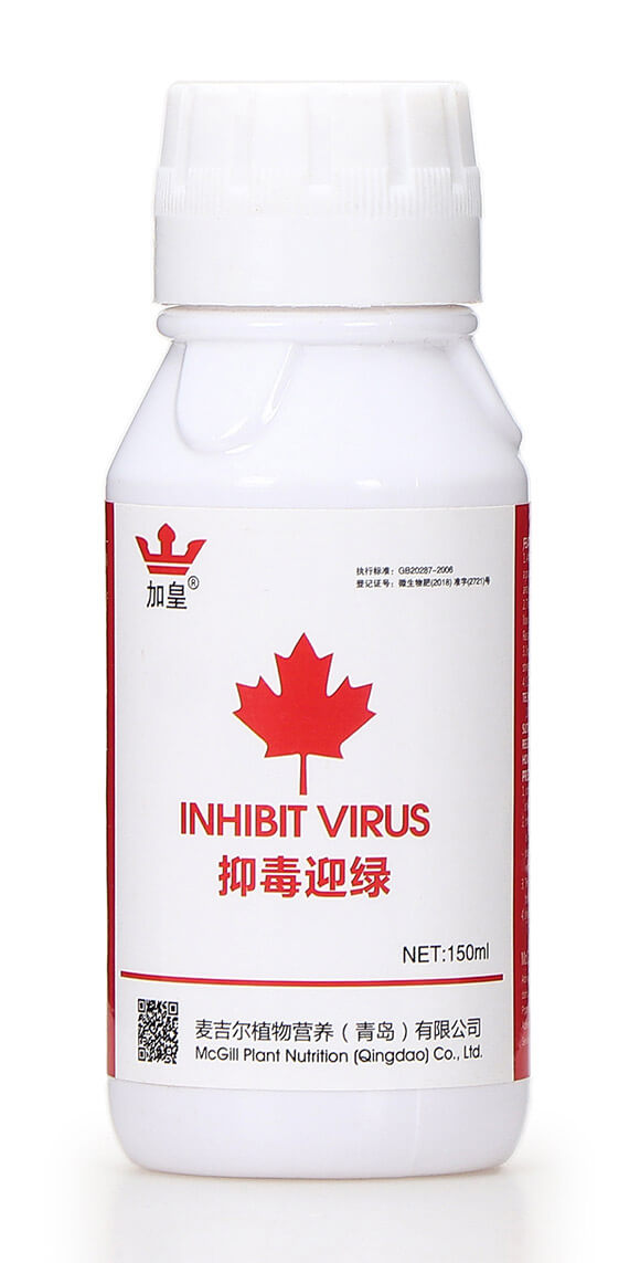 抑毒迎綠（專治病毒?。?綠肥5