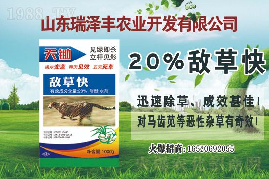 ���ݰ����݄��r(ji��)��2021.5.13