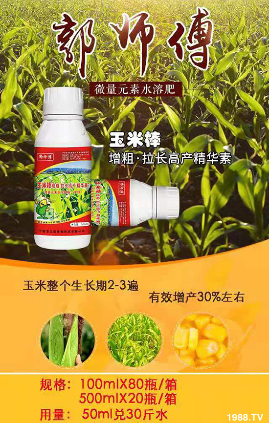 玉米棒增粗·拉長高產(chǎn)精華素-郭師傅-立信生物