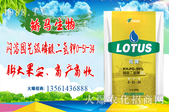 ⛷ʃr���q��2021��6��16��⛷ʃr�������Ո� 