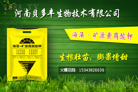 果樹黃化的原因是缺鐵嗎？果樹黃化噴施硫酸亞鐵怎么樣？