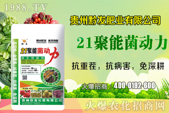 ǭ�l(f��)�ʘI(y��)�ٶȔy��1988.TV���y�ִ����������E��