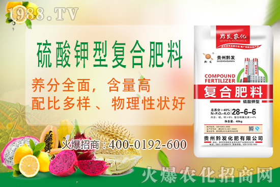 ǭ�l(f��)�ʘI(y��)�ٶȔy��1988.TV���y�ִ����������E��