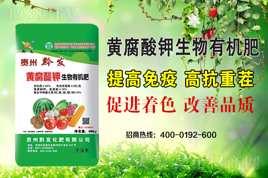 ǭ�l(f��)�ʘI(y��)�ٶȔy��1988.TV���y�ִ����������E��