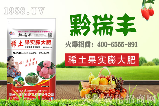 ����ʯ���ʘI(y��)�𱬁�(l��i)�u���ٺ����r(n��ng)�����̾W(w��ng)���_(k��i)��(chu��ng)���x�ͣ�