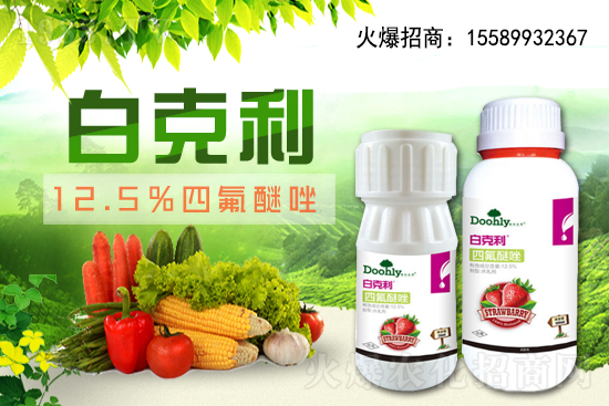 德國東利續(xù)約1988.TV！戰(zhàn)略合作關(guān)系再上新臺階！