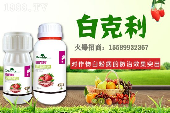 德國東利續(xù)約1988.TV！戰(zhàn)略合作關(guān)系再上新臺階！