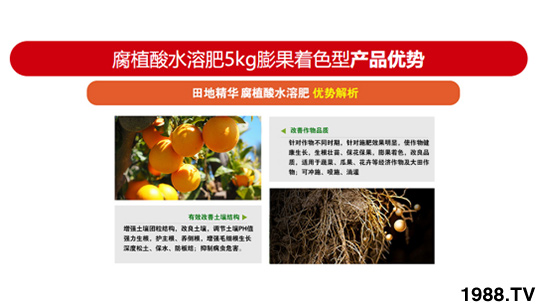 �����ɫ�ͺ���ֲ��ˮ�ܷ� ��ؾ��A �r(n��ng)������3