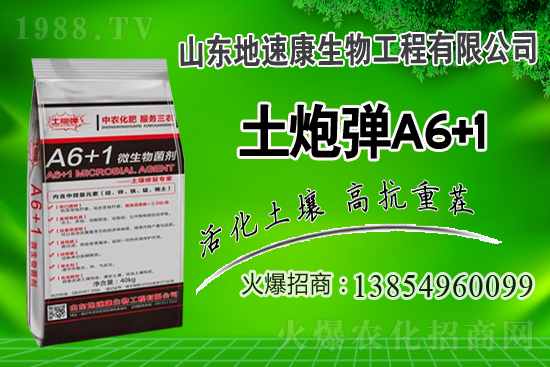    �����P(gu��n)ϵ�����A��ɽ�|���ٿ��c1988.TV�_����ƪ����