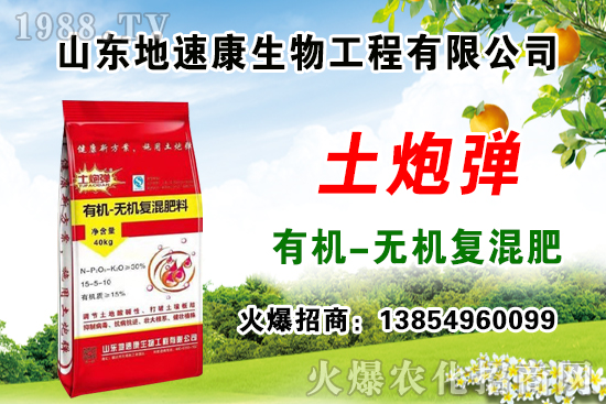    �����P(gu��n)ϵ�����A��ɽ�|���ٿ��c1988.TV�_����ƪ����