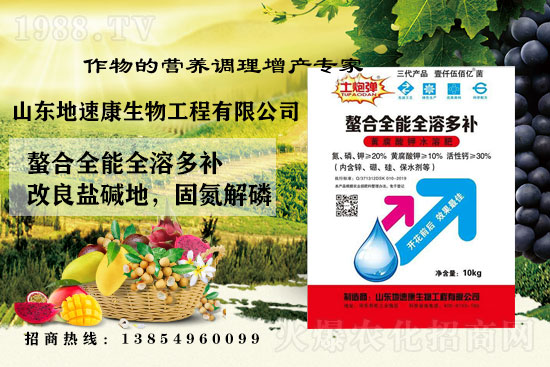    �����P(gu��n)ϵ�����A��ɽ�|���ٿ��c1988.TV�_����ƪ����