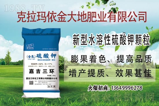 鉀肥市場(chǎng)保持堅(jiān)挺走勢(shì)！今日鉀肥價(jià)格走勢(shì)及交易日評(píng)