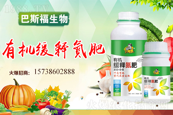     西紅柿畸形果是什么原因造成的？西紅柿畸形果怎么預防？