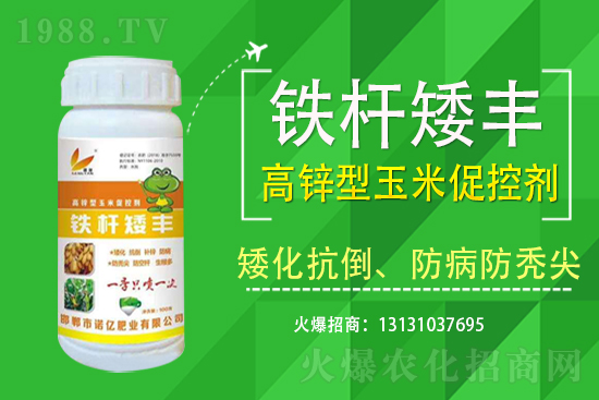玉米價(jià)格行情2021年7月19日