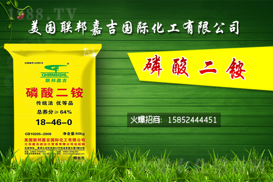 二銨價格堅挺！7月24日國內二銨價格行情