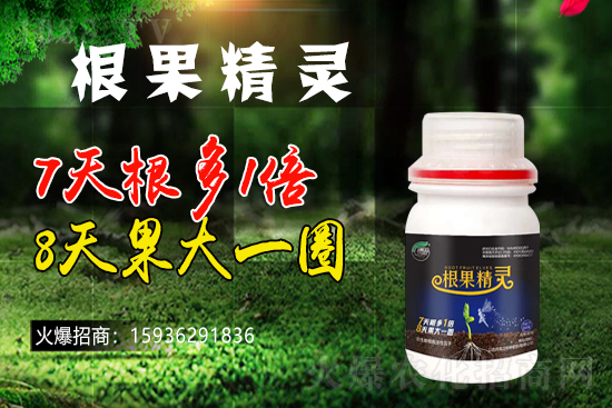 ��ɫ�и��m���m(x��)1988.TV�����\�����°l(f��)չ��