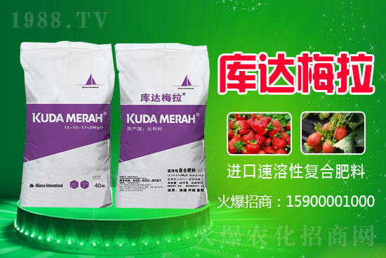 復(fù)合肥是跌還是漲?近期復(fù)合肥價(jià)格行情走勢(shì)(7月27日)