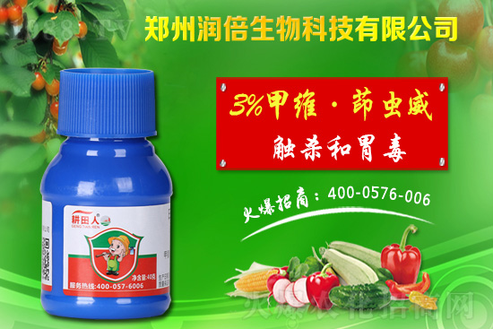 危害盛期的桃蚜如何防治？桃樹蚜蟲的危害與防治！