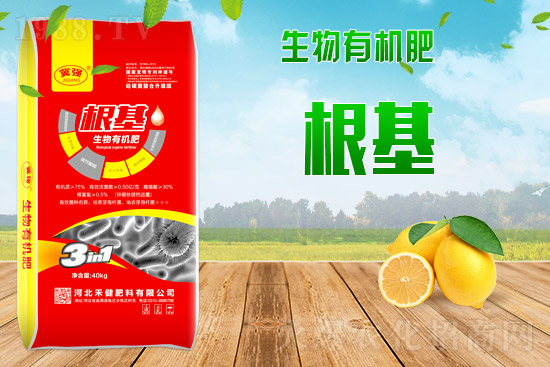 復(fù)合肥出廠報(bào)價(jià)，2021年9月2日復(fù)合肥價(jià)格日?qǐng)?bào)