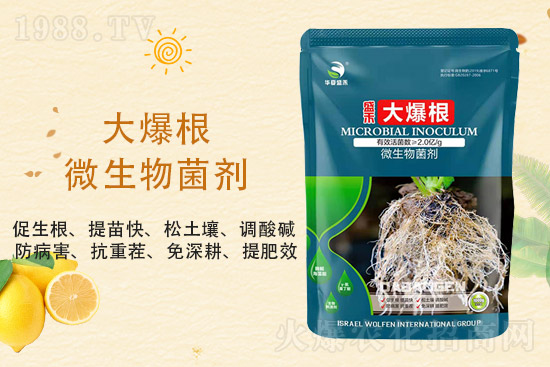 二銨價(jià)格持穩(wěn)，2021年9月3日磷銨價(jià)格行情分析