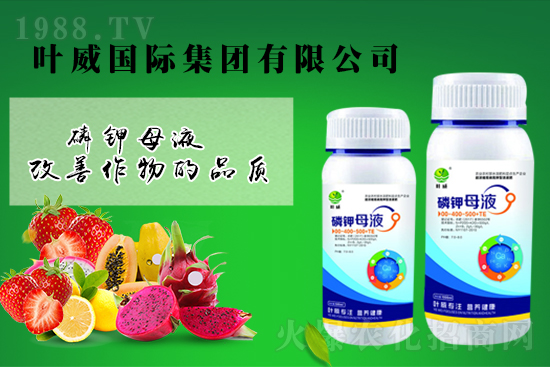氯化高位運(yùn)行，2021年9月4日國(guó)內(nèi)鉀肥價(jià)格行清